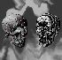Preview skull